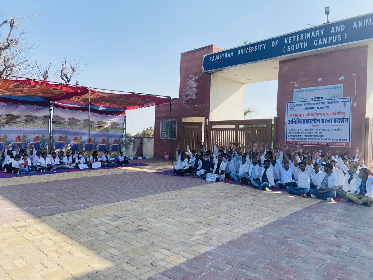 rao83070606's tweet photo. #भत्ता_समकक्ष_करो
#Increase_Vet_Stipend

@ashokgehlot51 @KatariaLalchand @SachinPilot  @hanumanbeniwal @presidentVCI @CMHelpdesk @RajCMO @pantlp @PMOIndia @RajGovOfficial @1stIndiaNews @rpbreakingnews @zeerajasthan_ https://t.co/wXynekCkxo