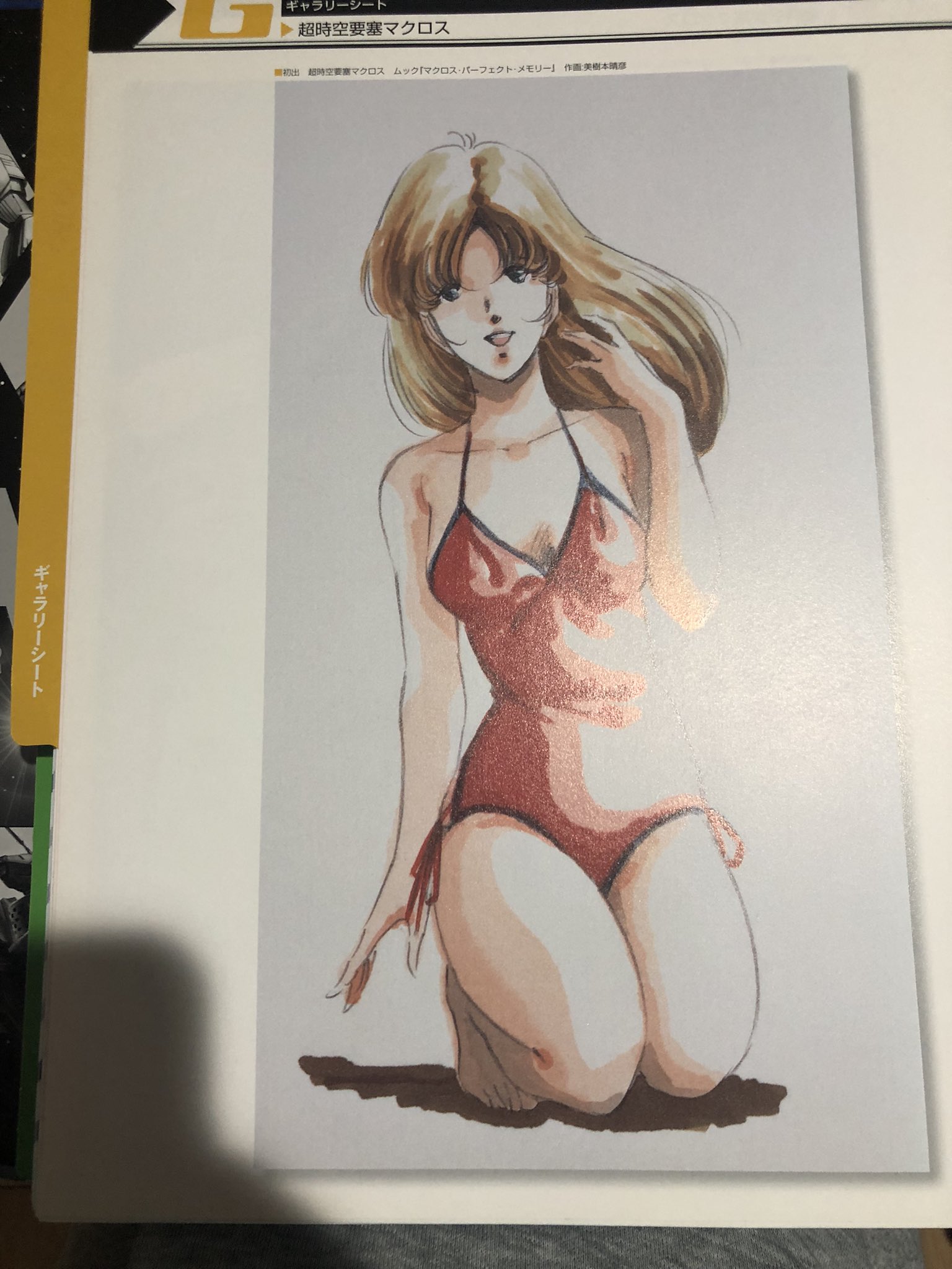 超時空要塞マクロス　早瀬未沙 水着ver. デイジー・モデル 早瀬未沙 水着ver. | ワンダーフェスティバル2014[冬] 7-22-04