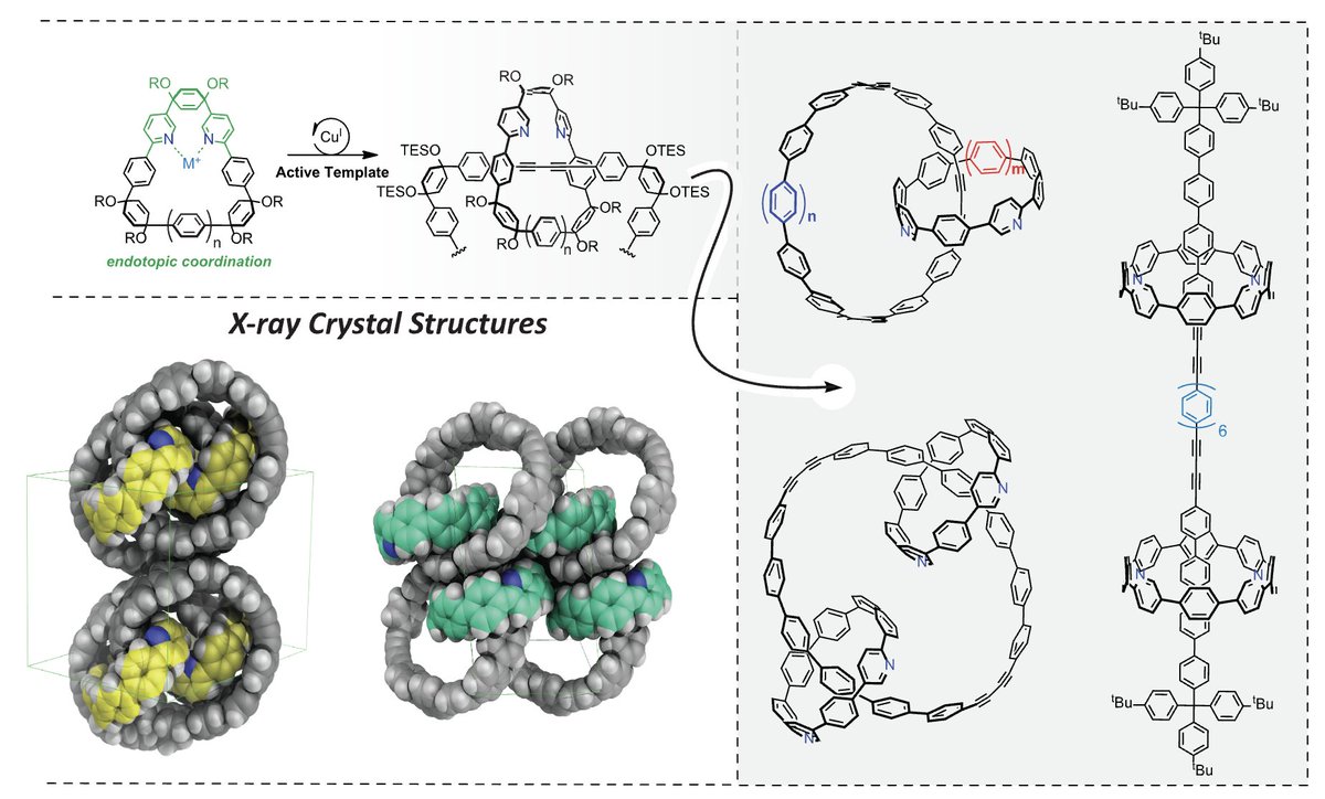 Check out a draft of new <a href="/nanohoops/">The Jasti Laboratory</a> work on <a href="/ChemRxiv/">ChemRxiv</a> rb.gy/snlcfz This active template method provides access to a wide array of mechanically interlocked pi-conjugated structures - opens up a lot of possibilities for the field. Congrats to James, Jeff, and Ruth!