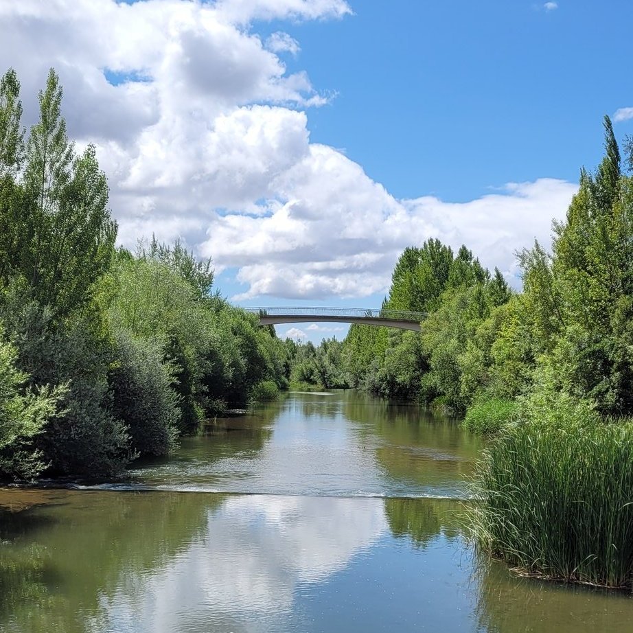 🦁¿Cómo no me va a gustar León?🦁

#leonesp #cazurreo 
(📸Fotos de <a href="/CasasSerguey/">Serguey Casas</a>)