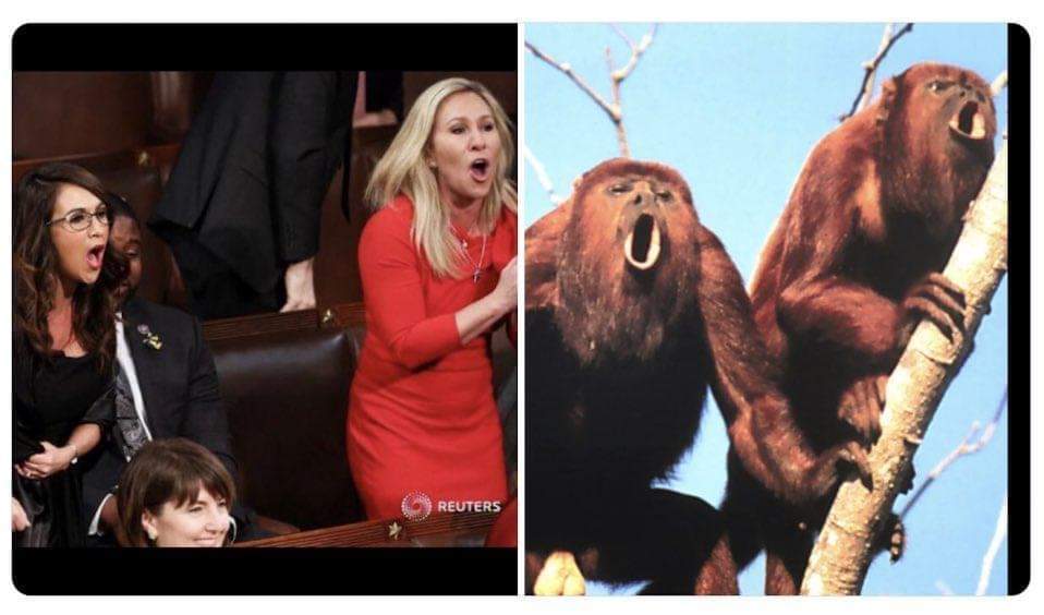 _YallQaeda's tweet photo. @laurenboebert @RepMTG #shaveballsfirst https://t.co/fnLHiHFESq