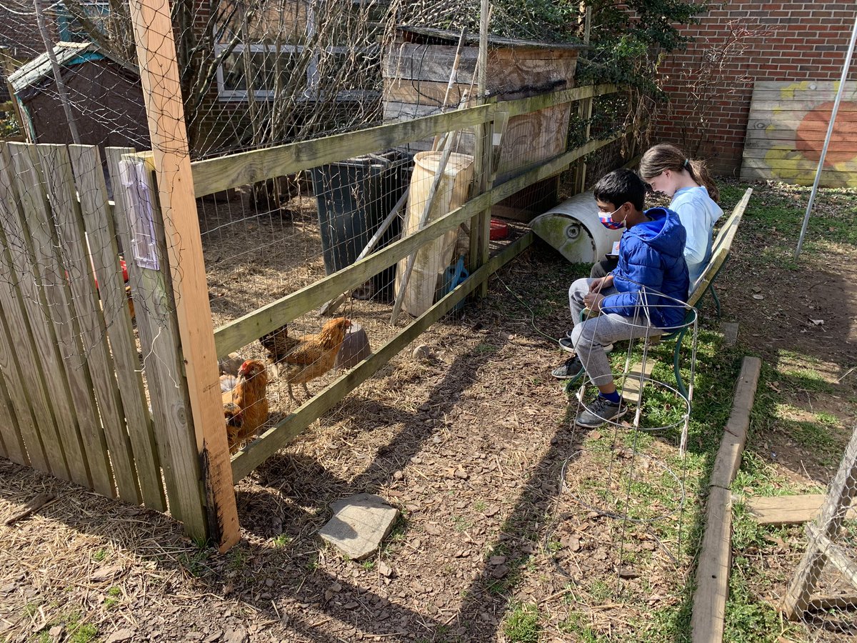 Beautiful Day for Reading Buddies with @Bechtle4 @MissKaluza and the FHES Chickens! #SoHappyTogether #FHESFamily #ReadAcrossAmerica