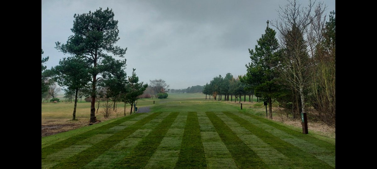 Got to love a #greenkeeping before and after pic <a href="/blyth_golf/">Blyth Golf Club</a> <a href="/tillersturf/">Tillers Turf</a>. Turf stripped, enlarged, new turf and trees out to allow more sunlight to reach the surface <a href="/bigga/">bigga</a>