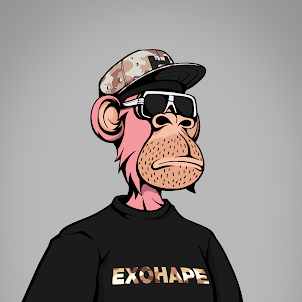 JolliBetlog's tweet photo. // To celebrate Peenoise Notify's Anniversary

I'll be Giving away: 
• 1x EHOHAPE NFT

To enter:
• Follow @JolliBetlog , @PeenoiseNotify , @EXOHAPEGANG 
• Retweet &amp; Like 
• Tag 3 friends https://t.co/DF9WVds8u3