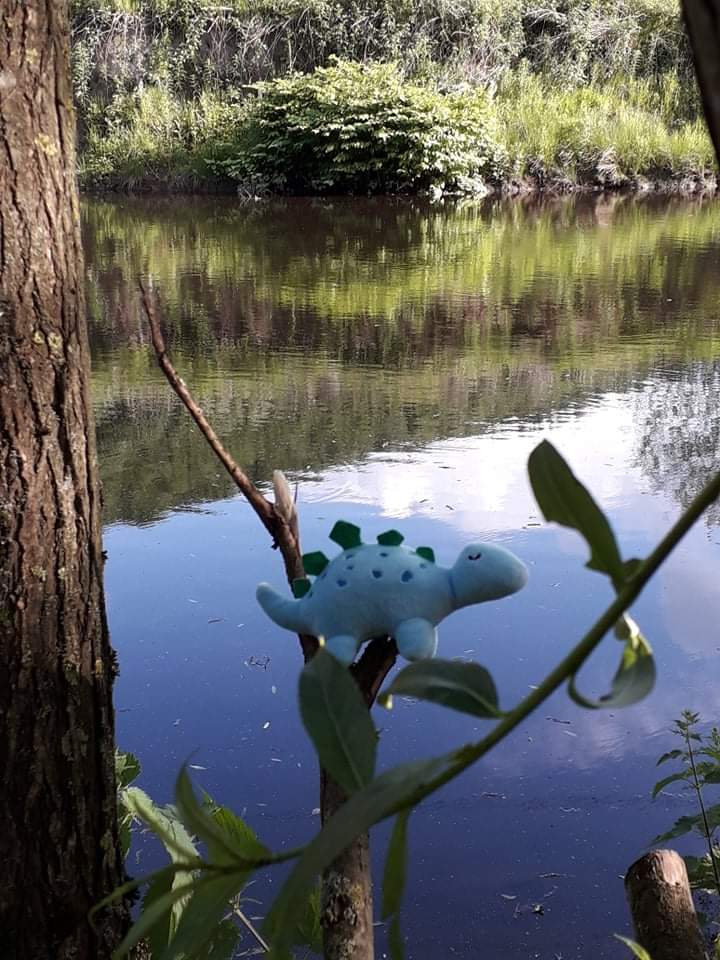 RawdinoRawsum's tweet photo. Looking for kingfishers at Cromwell Bottom #CromwellBottom #LifesBetterByWater #Rawsum https://t.co/6imEzOCZCx