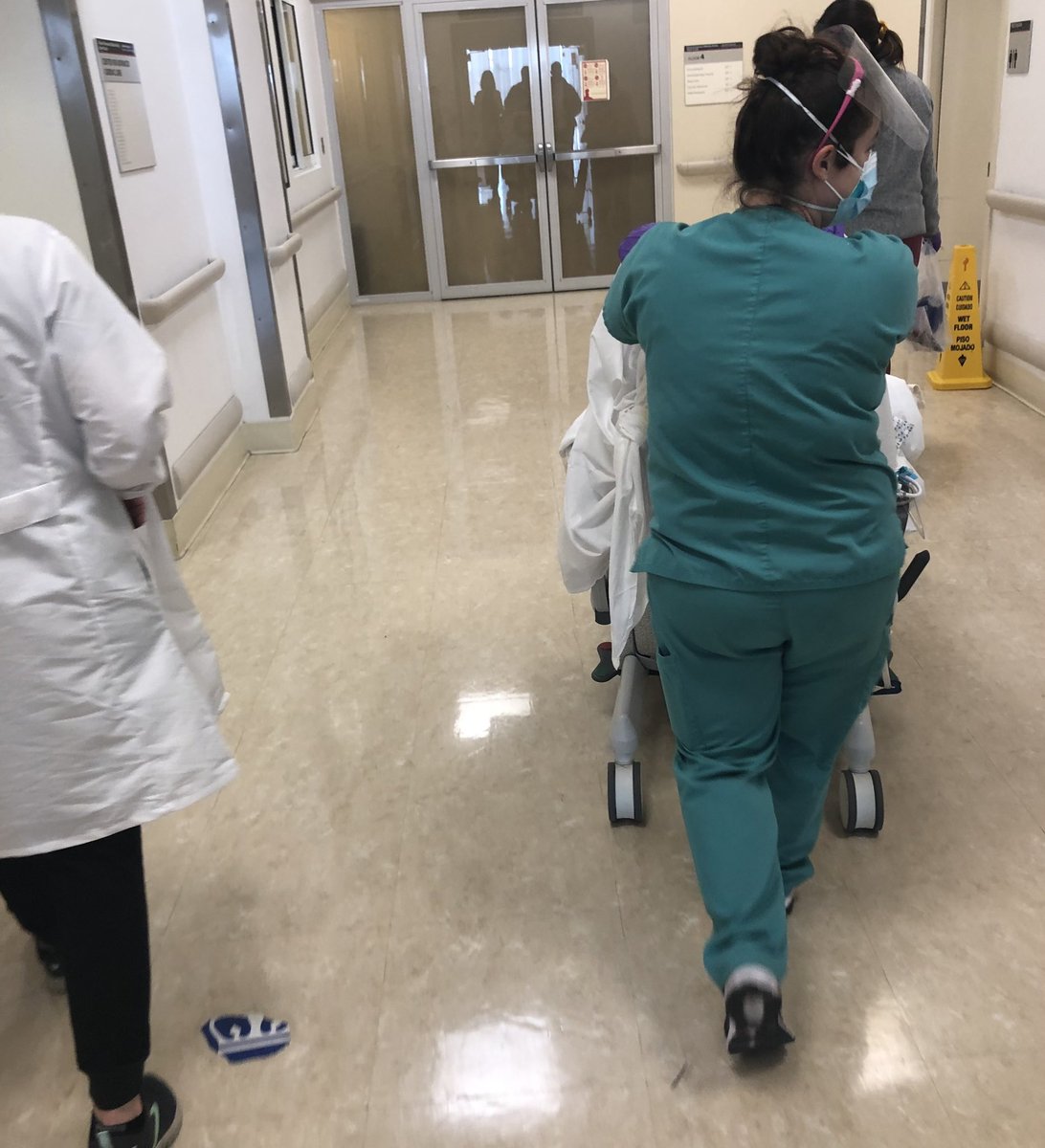 BeaconWest2's tweet photo. Nothing makes your day like enjoying the sun outside with your patient! It takes an awesome team of RN, NP, PT.. to make this possible 👏👏  GO MICU! #patientsmilepriceless @MICU_NYPCU @ltbaustria @MagneticDrRN https://t.co/8UDjfHCyDq