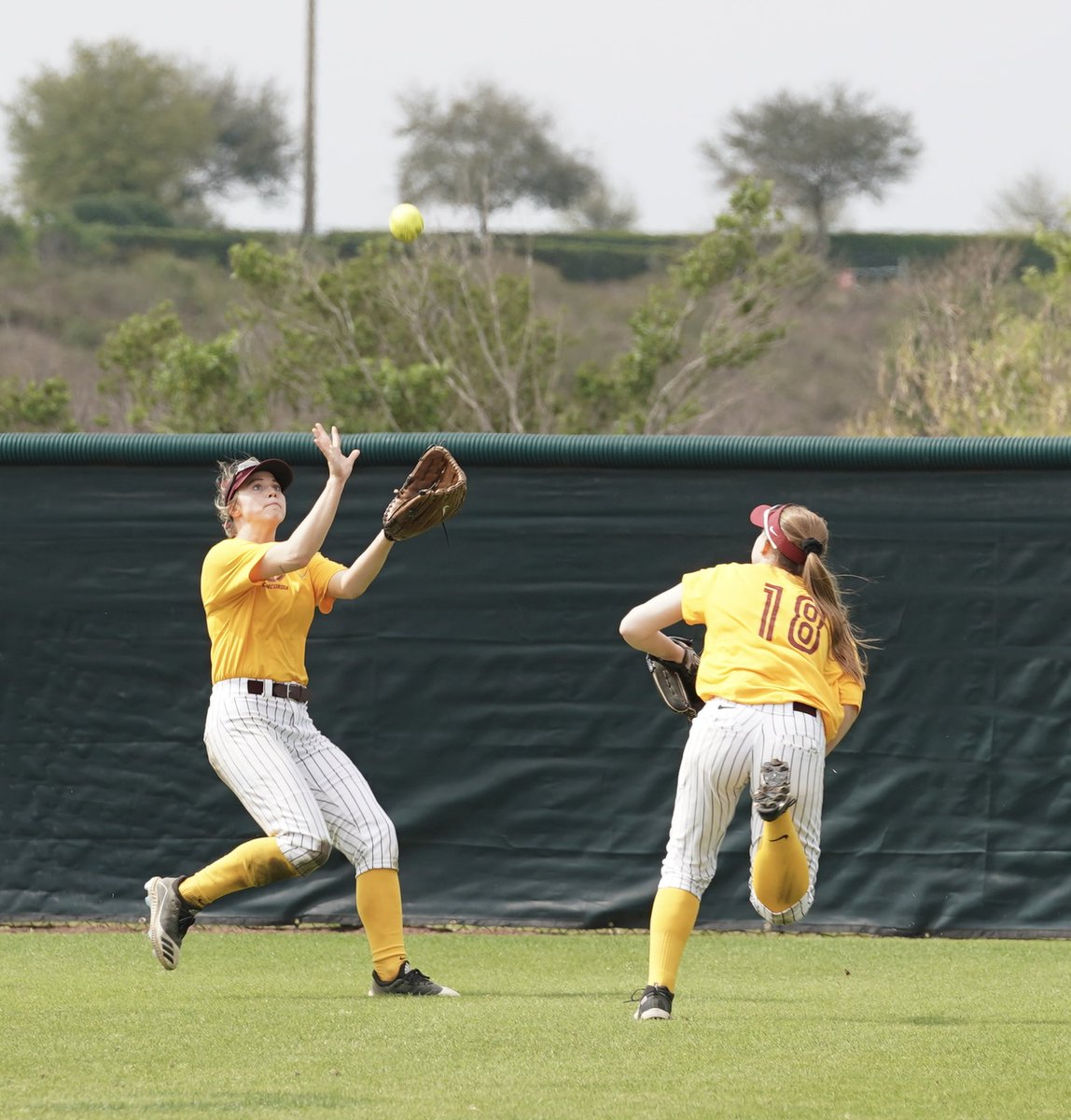 JrKinMT's tweet image. More Cobber Day 1….@CobberSoftball