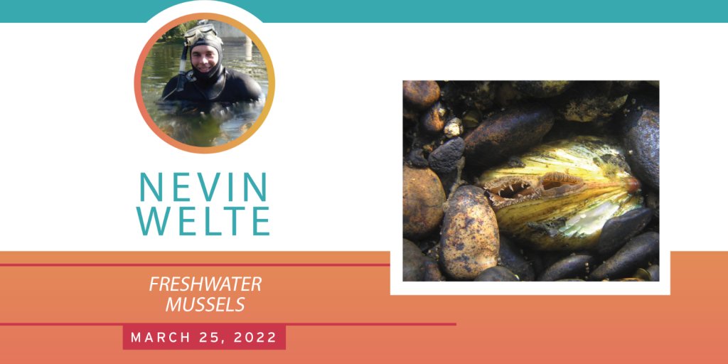 State Museum of PA tweet media