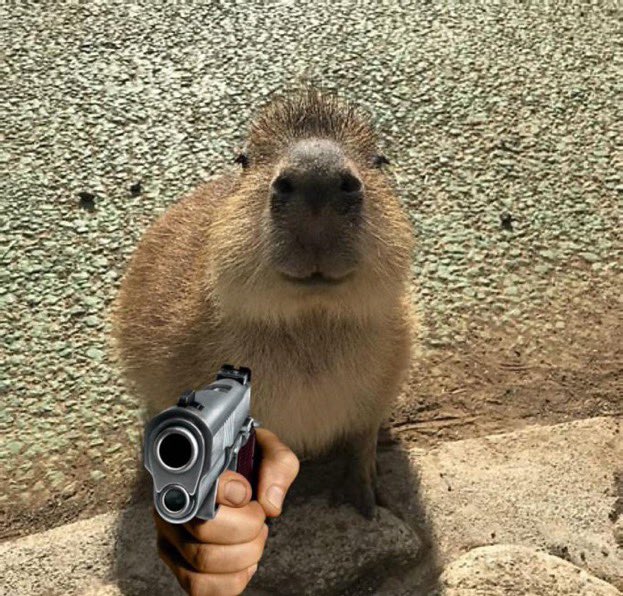 y’all bullied dominic fike into shortening elliot’s song. say sorry!!!