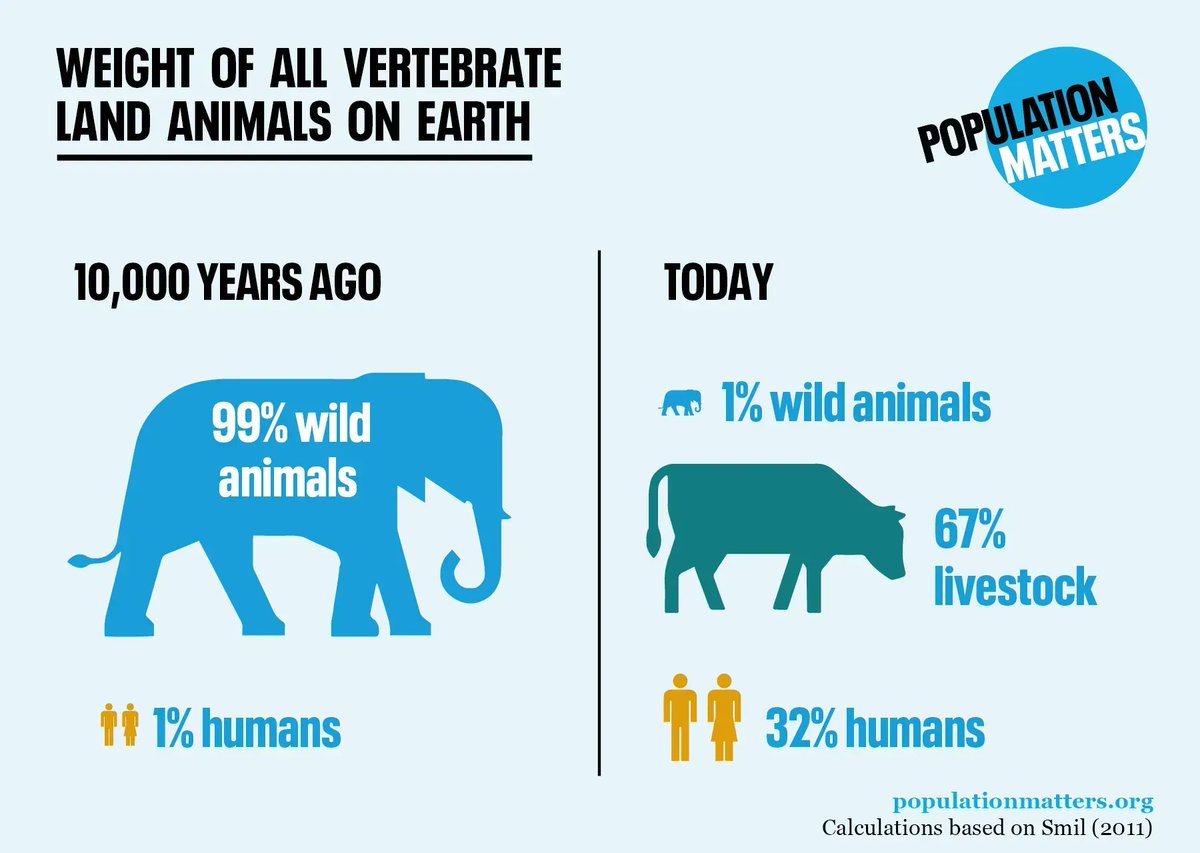 PopnMatters's tweet photo. Tomorrow is #WorldWildlifeDay! Habitat destruction is the primary cause of biodiversity loss. Choosing a #smallerfamily and resisting excessive consumption (especially of animal products) are the most effective things we can do to help slow the loss of wild species. https://t.co/4EMVqD6Gr7