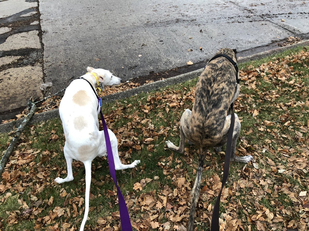 ddbionic's tweet photo. @ChristianYelich Two for one poop! https://t.co/H1rETM4f0f