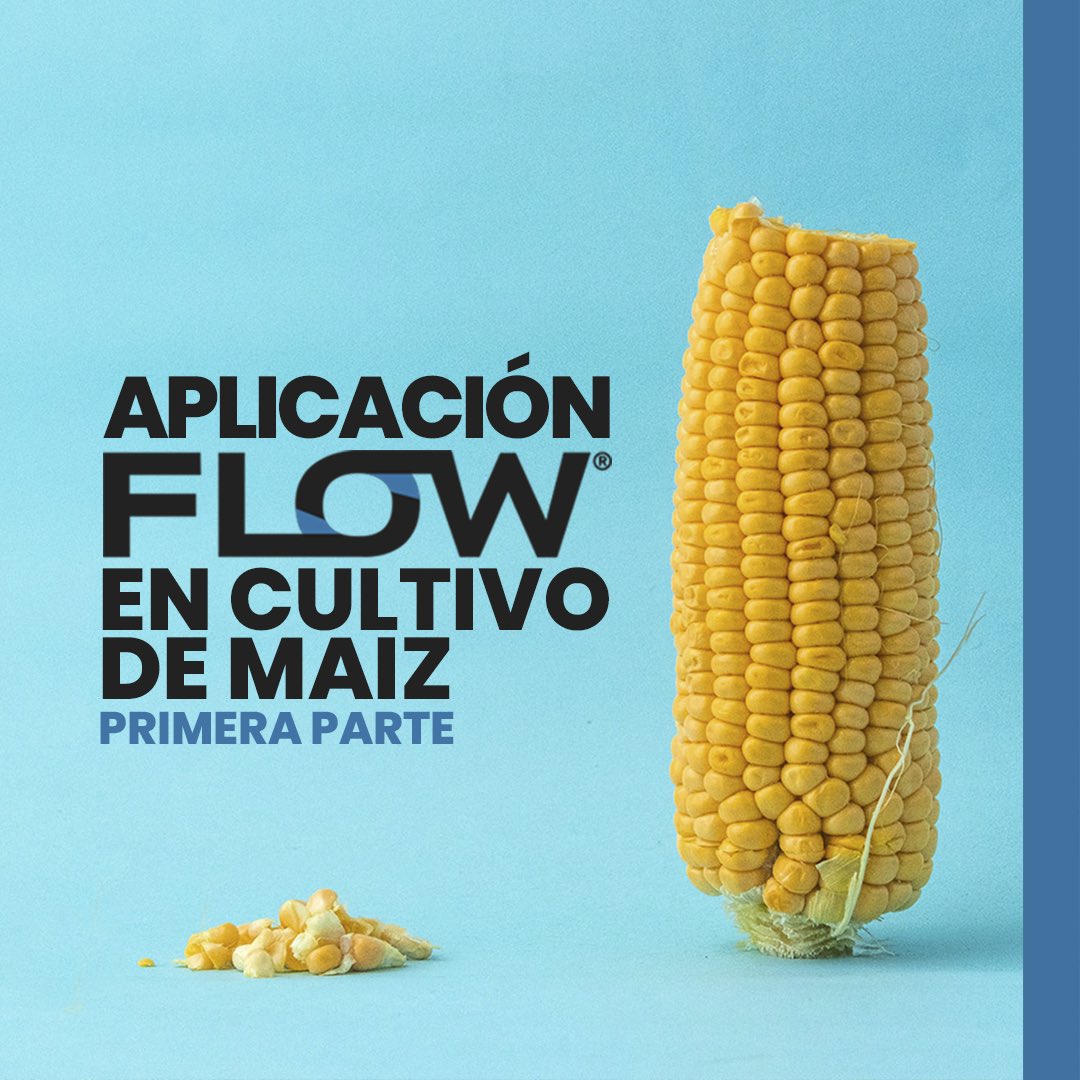 FertigreenEc's tweet photo. F L O W⠀⠀⠀⠀⠀⠀⠀⠀⠀
Fertilizante Floable⠀⠀⠀⠀⠀⠀⠀⠀⠀
⠀⠀⠀⠀⠀⠀⠀⠀⠀
• Flow® es un producto que ha sido fabricado a partir de materias primas 100% naturales. Es ambientalmente seguro ya que no contamina el manto freático. ⠀⠀⠀⠀⠀⠀⠀⠀⠀
⠀⠀⠀⠀⠀⠀⠀ https://t.co/4ovdvF0XcT