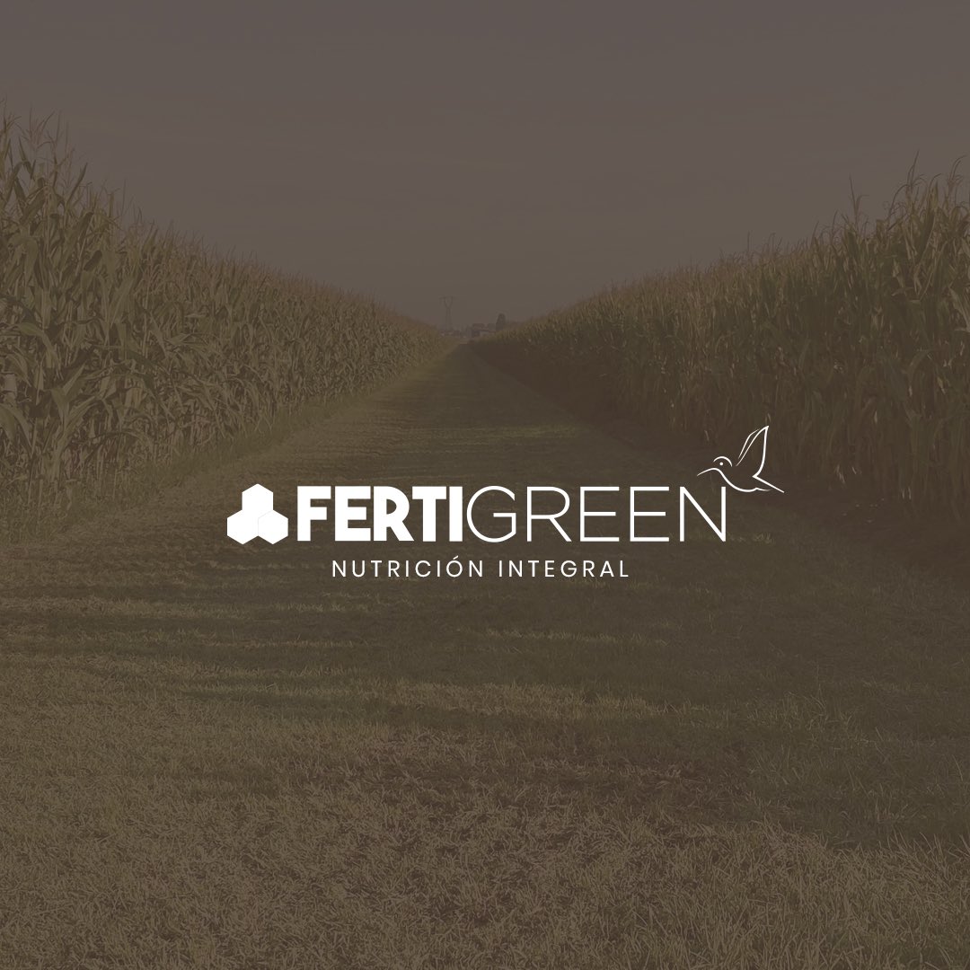 FertigreenEc's tweet photo. • Incrementa considerablemente los rendimientos en mazorca. ⠀⠀
⠀⠀⠀⠀⠀⠀⠀⠀⠀
• Contribuye a mejorar el medio físico y químico donde crece la planta ⠀⠀⠀⠀⠀⠀⠀⠀⠀
⠀⠀⠀⠀⠀⠀⠀⠀⠀
#agro #Agroexpo #agricultura #agriculturaecologica https://t.co/8TMj7tZf0M