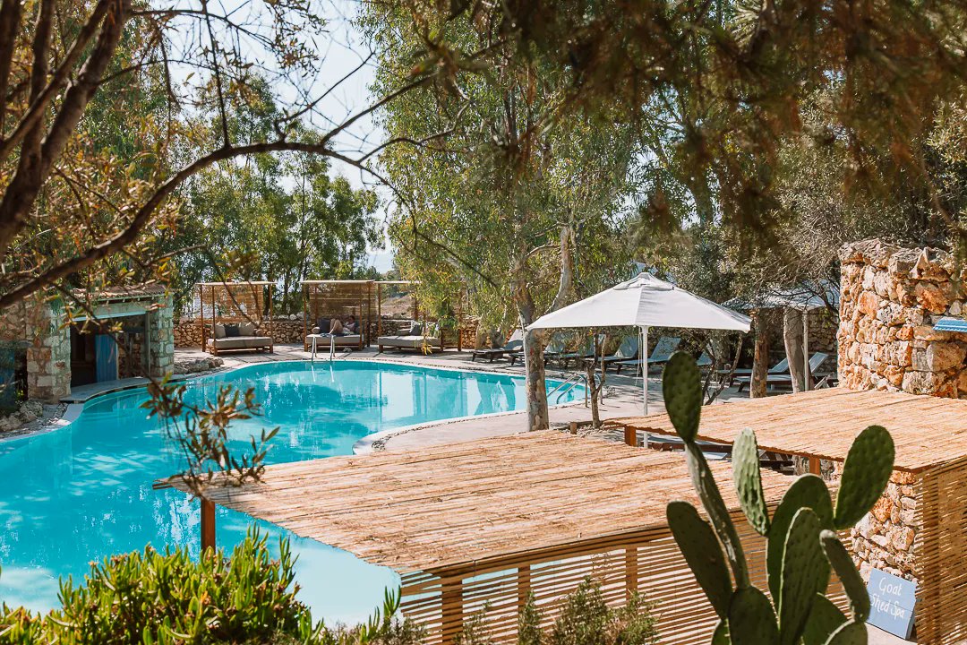 The Peligoni Club tweet media