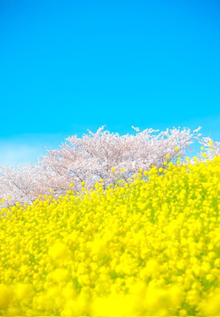 ⁎  …

                おはようございます

                       ステキな

                         １日 に

                    なりますように 𓂃 𓈒 ⌖

                              …  ⁎