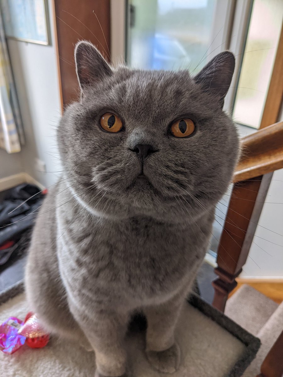 Chloe Victoria Blackman tweet media