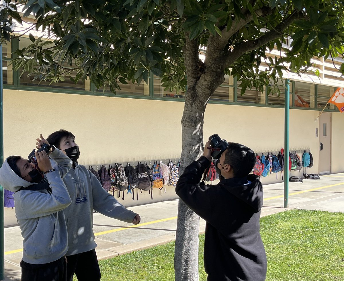 Fallbrook STEM Academy tweet media