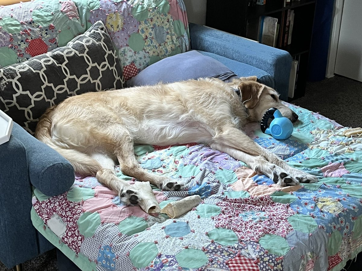Even my dog dreams about CrossFit! Not a set up. His kettlebell is just his favorite toy.