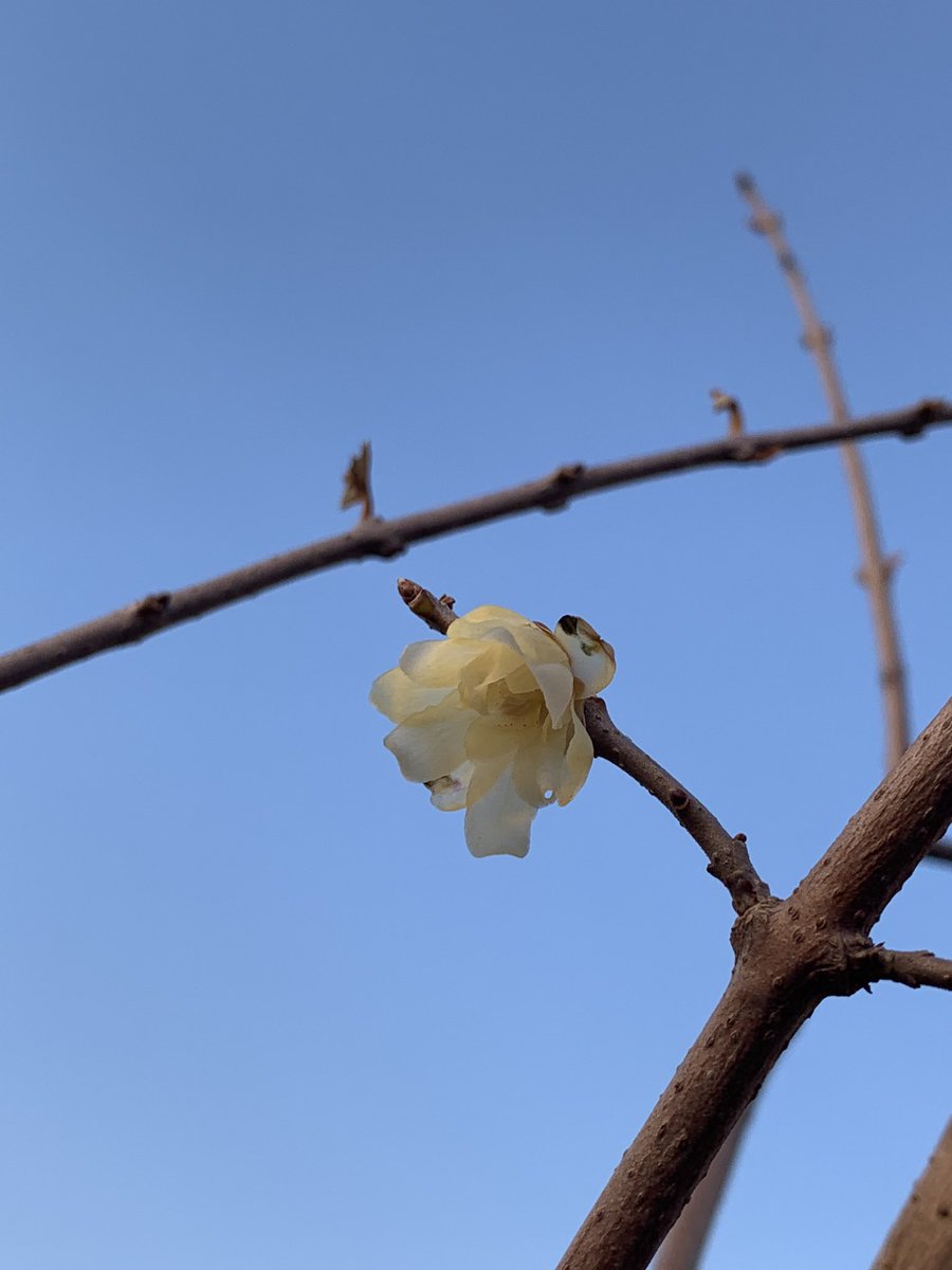 おはようございます🌈
 #木曜日