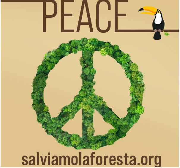 SalviamoForesta's tweet photo. #PACEART #PACE https://t.co/BrnEkTKzXV