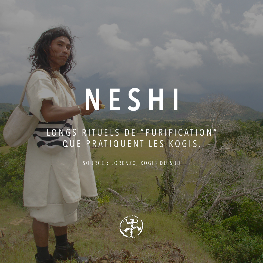 Les Kogis pratiquent de longs rituels de “purification”, aussi appelés neshi, dans lesquelles ils verbalisent leurs pensées ou actions négatives qui pourraient porter atteinte à l’équilibre des relations, entre les membres de la communauté ou avec la “Mère Terre”.