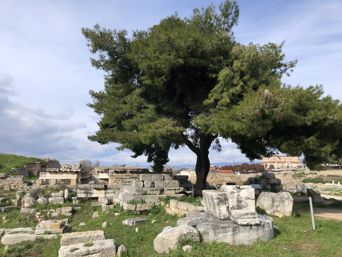 David Paperno tweet media