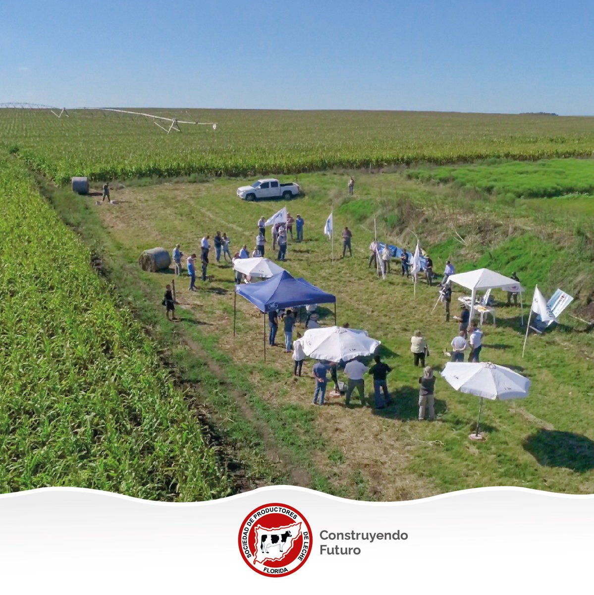 _splf's tweet photo. 📍El pasado viernes se llevó a cabo en el Campo de Recría, junto a técnicos y productores de la zona, la Jornada Anual de Riego🌽💦 Una instancia de intercambio, en donde se brindaron herramientas e información sobre tecnologías y manejo en cultivo de maíz para altos rendimientos https://t.co/WGiG4iiHpI