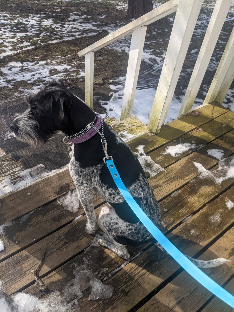 Magnolia + Hannah tweet media