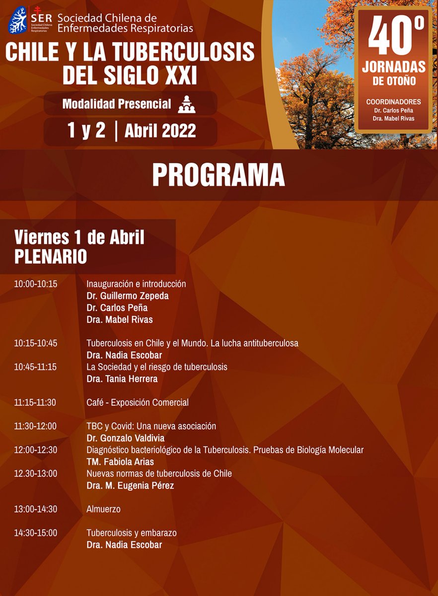 SerChile tweet media