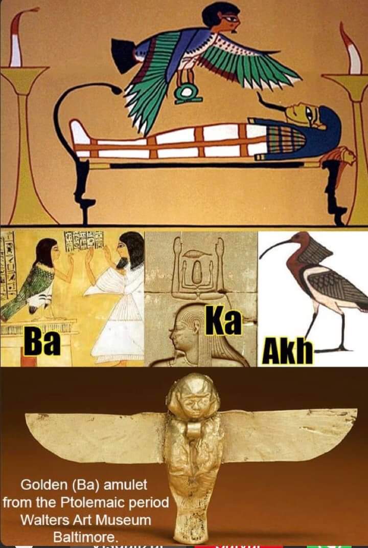 Ка и ба. Ба в древнем Египте. Концепция души в древнем Египте. Душа ба в древнем Египте. Ба Бог древнего Египта.