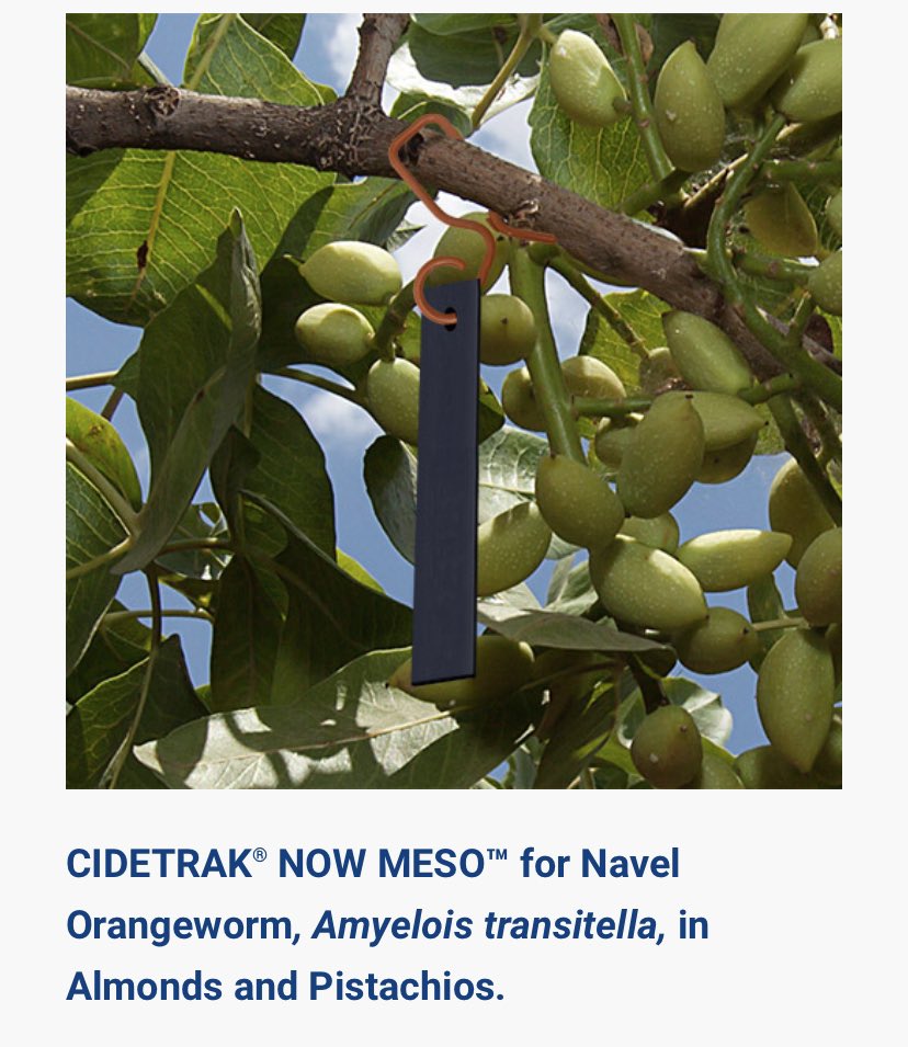 TreceInc's tweet photo. CIDETRAK NOW MESO - high performance mating disruption for Navel Orangeworm control in almonds and pistachios. 

Benefits include significant reduction in trap capture and reduced damage! https://t.co/qHp2MnvctX