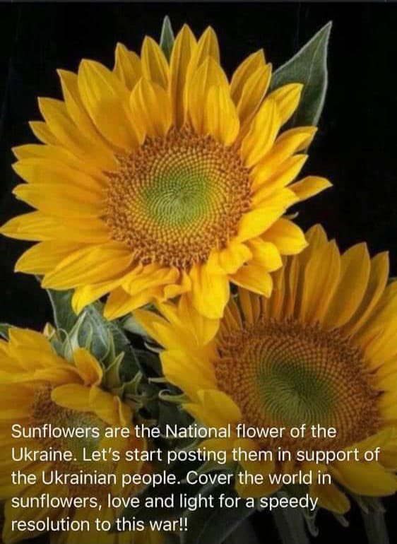 Sharon Kennedy (@skyewesty) on Twitter photo 