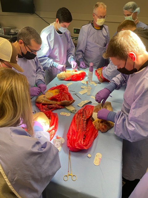 SanfordBradR's tweet photo. #NATM2022 #Sanford Fargo Athletic Trainers learning suturing in the BioSkills lab. Always upgrading the skill sets! https://t.co/MwUv9SRi5t