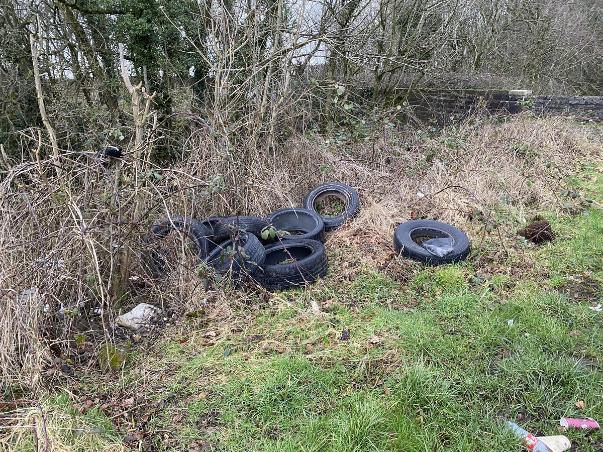 750GMU's tweet photo. With 13 days until the trout season opens here, I thought I’d take a wee run past the local water ! 🤬😡🤬🤬🤬 https://t.co/b9YnS5kY7f