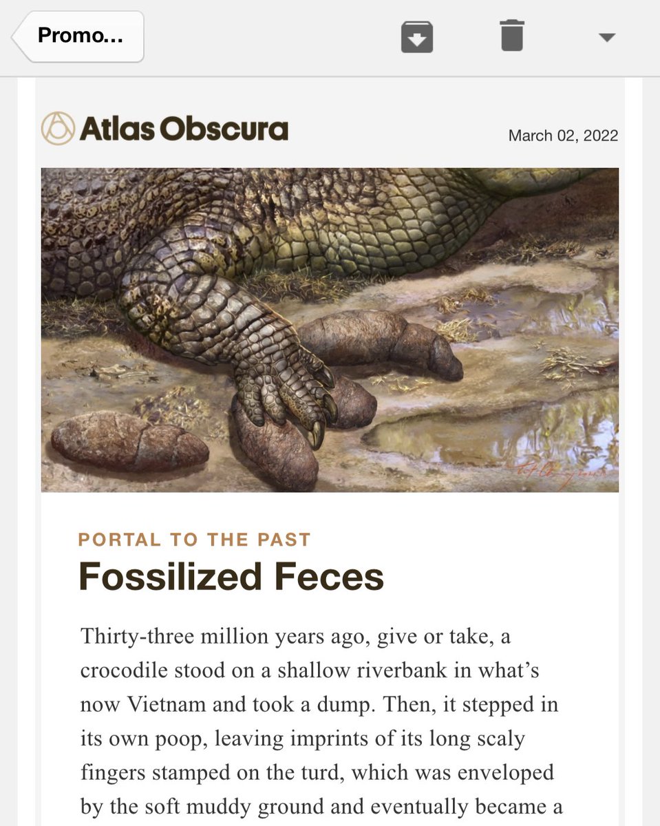 Helluva cold open on this <a href="/atlasobscura/">Atlas Obscura</a> email.