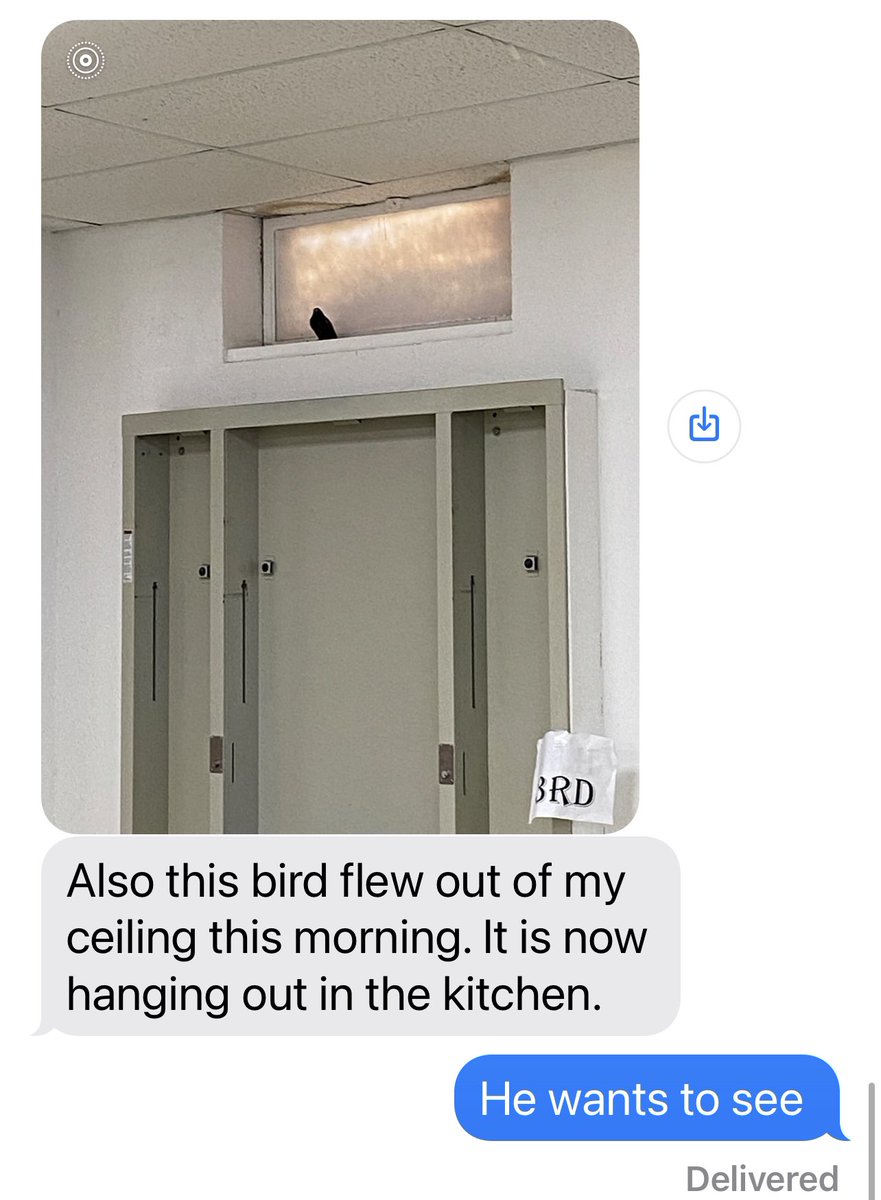 You never know when you’re at a meeting what kind of messages you will get from back home. On a good note, the birds are even encouraging to come to school!