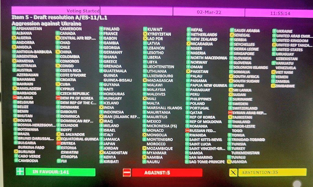 Украина проголосовала против. Голосования за резолюцию какие страны. Какие страны проголосовали против резолюции. Страны Голосовавшие против резолюции ООН по Украине. Страны проголосовавшие против резолюции ООН.