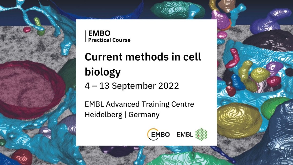 How can cutting-edge technologies be used to answer questions at the frontiers of #cellbiology? To find out, join this course, taught by the entire faculty of the @EMBL Cell Biology and #Biophysics Unit. #EMBOCellBiology
Applications are now open: s.embl.org/cbb22-01