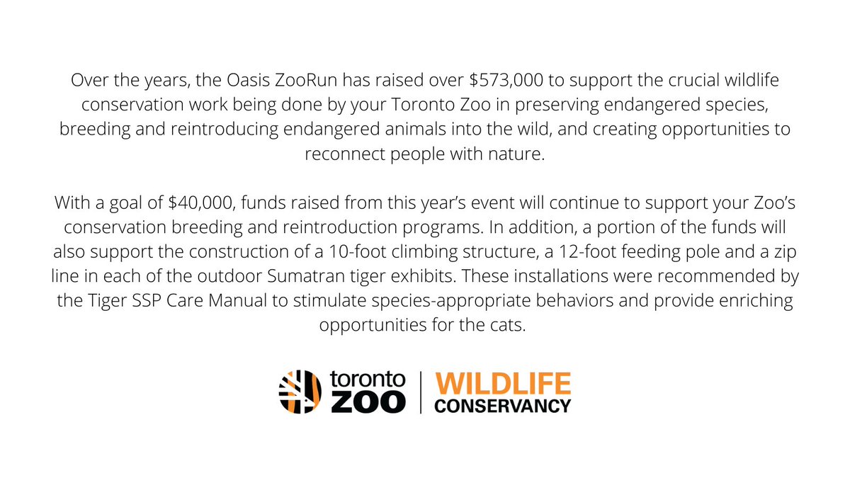TZWConservancy's tweet photo. To register for the 2022 Oasis ZooRun or learn more about our incredible fundraising prizes: https://t.co/wmGo7LY6Jw π―
#ZooRunTO #YearOfTheTiger https://t.co/CNDBbbiv0x
