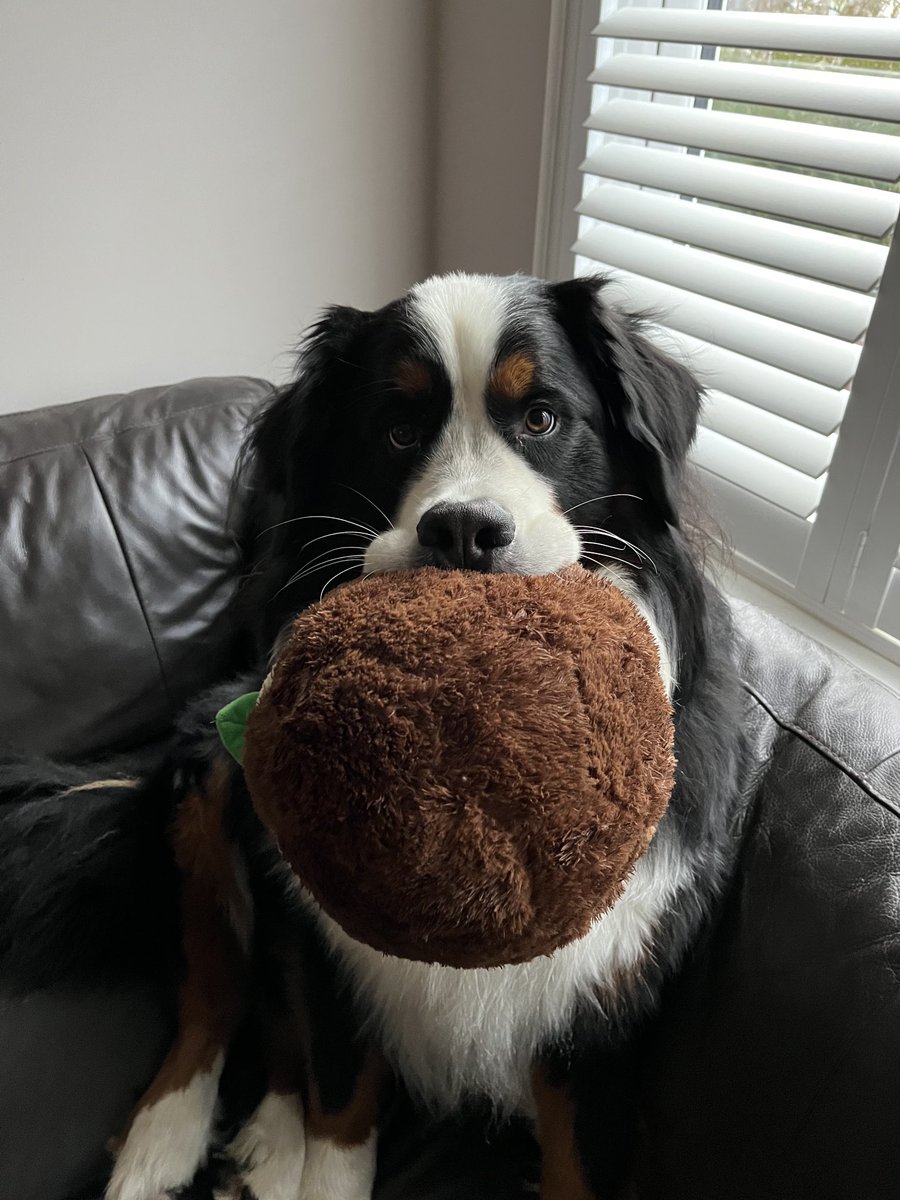 Marcel Lupo | Microsoft DevOps MVP | 🇬🇧 🇿🇦 tweet media