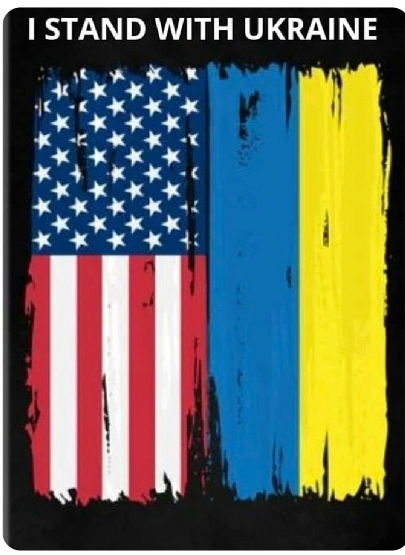 BlueViking10's tweet photo. @ZelenskyyUa We stand with you https://t.co/d4b2bMO5BZ
