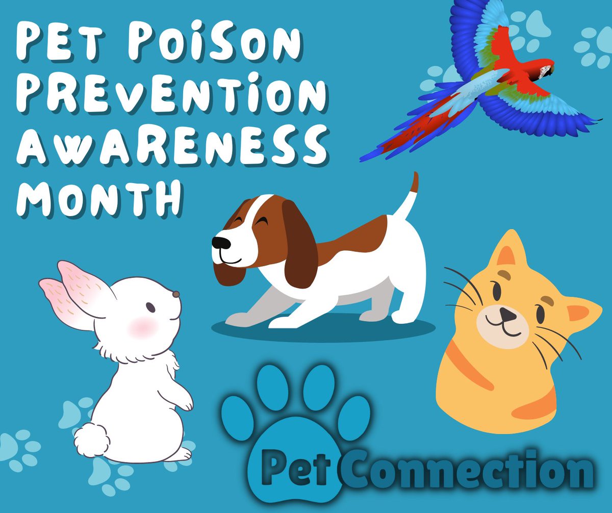 Pet_Connection's tweet image. #March is #PetPoisonAwarenessMonth, so we'll be covering lots of different risks to our #pets, how we can avoid them and what we need to do when it all goes wrong!

Is there anything in particular you'd like to see us share information about?