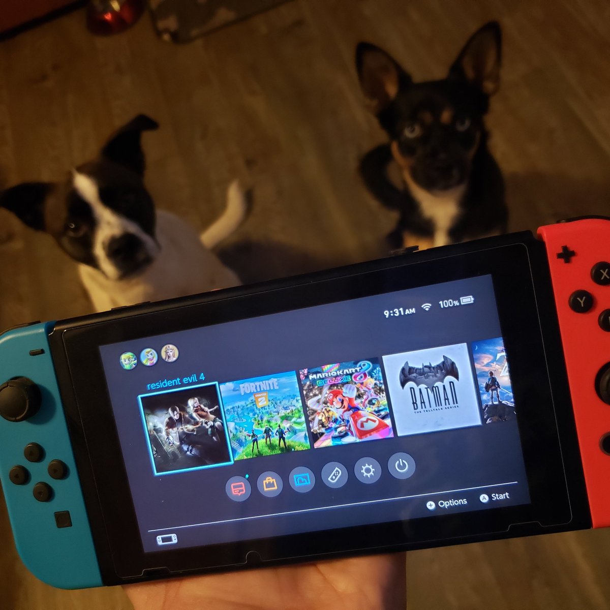 Major life interests in a picture❤📸🐾🎮 #NewProfilePic #NewTwitter #dogmom #gamergirl
