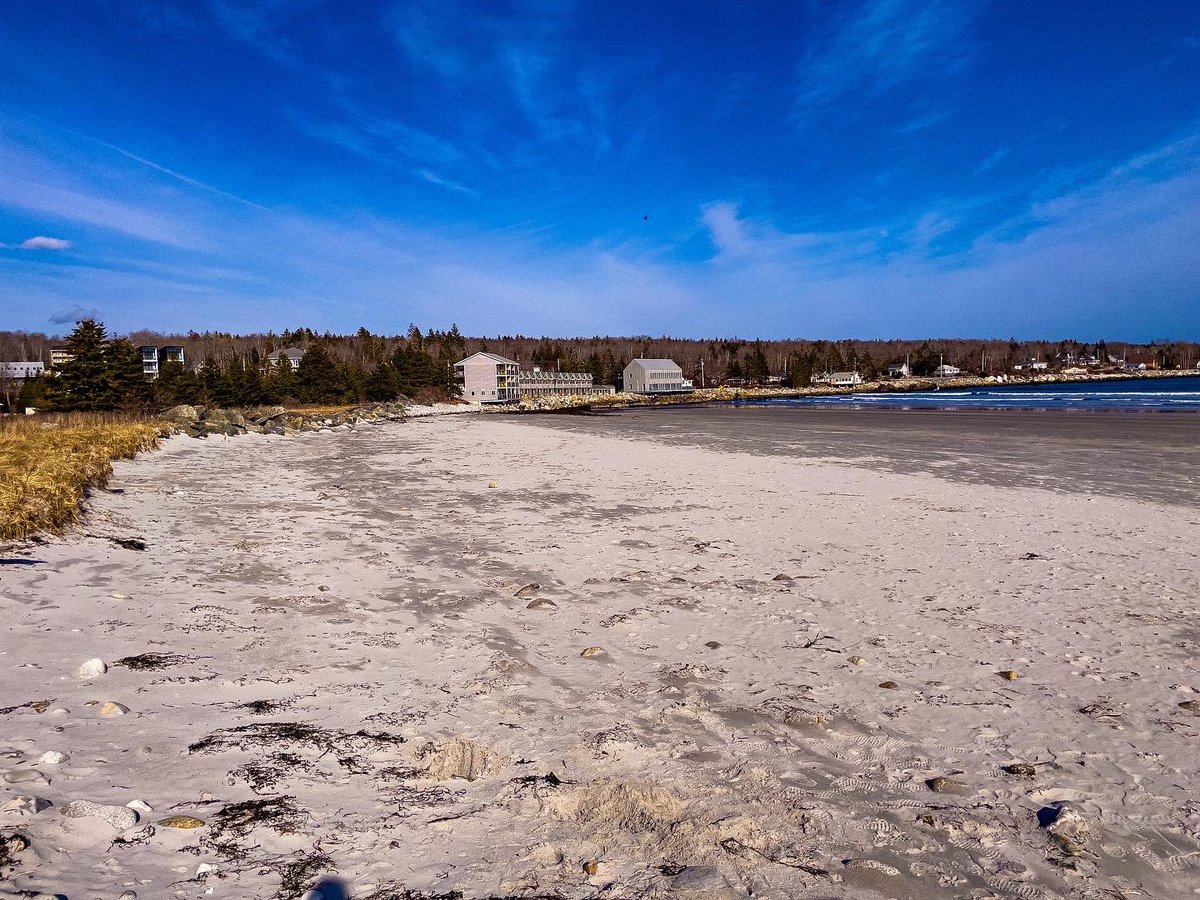 Suzy The Explorer tweet media