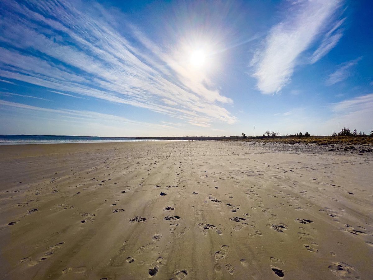 Suzy The Explorer tweet media