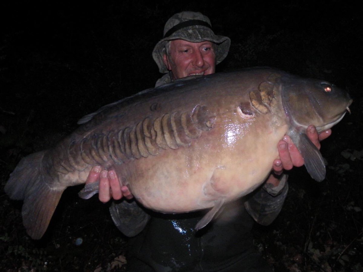 RGBaitsUK's tweet photo. A mighty fine mid thirty mirror came knocking just on pack up for Glenn Brittle earlier this year. One truly magnificent beast from a place filled with dreams! 

#TheFormula+ #ArcticCrab #RGBaits 🇬🇧 https://t.co/r7rArX6aR2