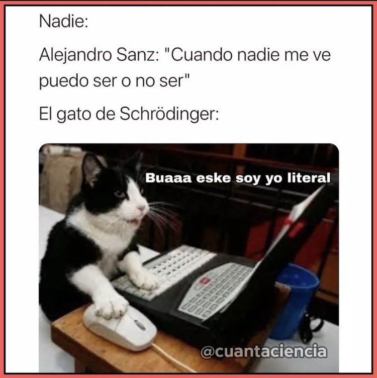 Mikel Torres on Twitter: "Jamás me cansaré de los memes del gato de Schrodinger." / Twitter