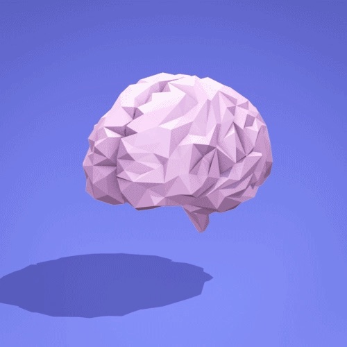 MC2LabRutgers's tweet photo. The MC^2 Lab explores the processes that underlie how we encode and retrieve information from memory. We also explore how these memory processes change across development and across knowledge groups. Stay tuned for updates on our research, news, and ways to participate! https://t.co/LSIuwrKW8x