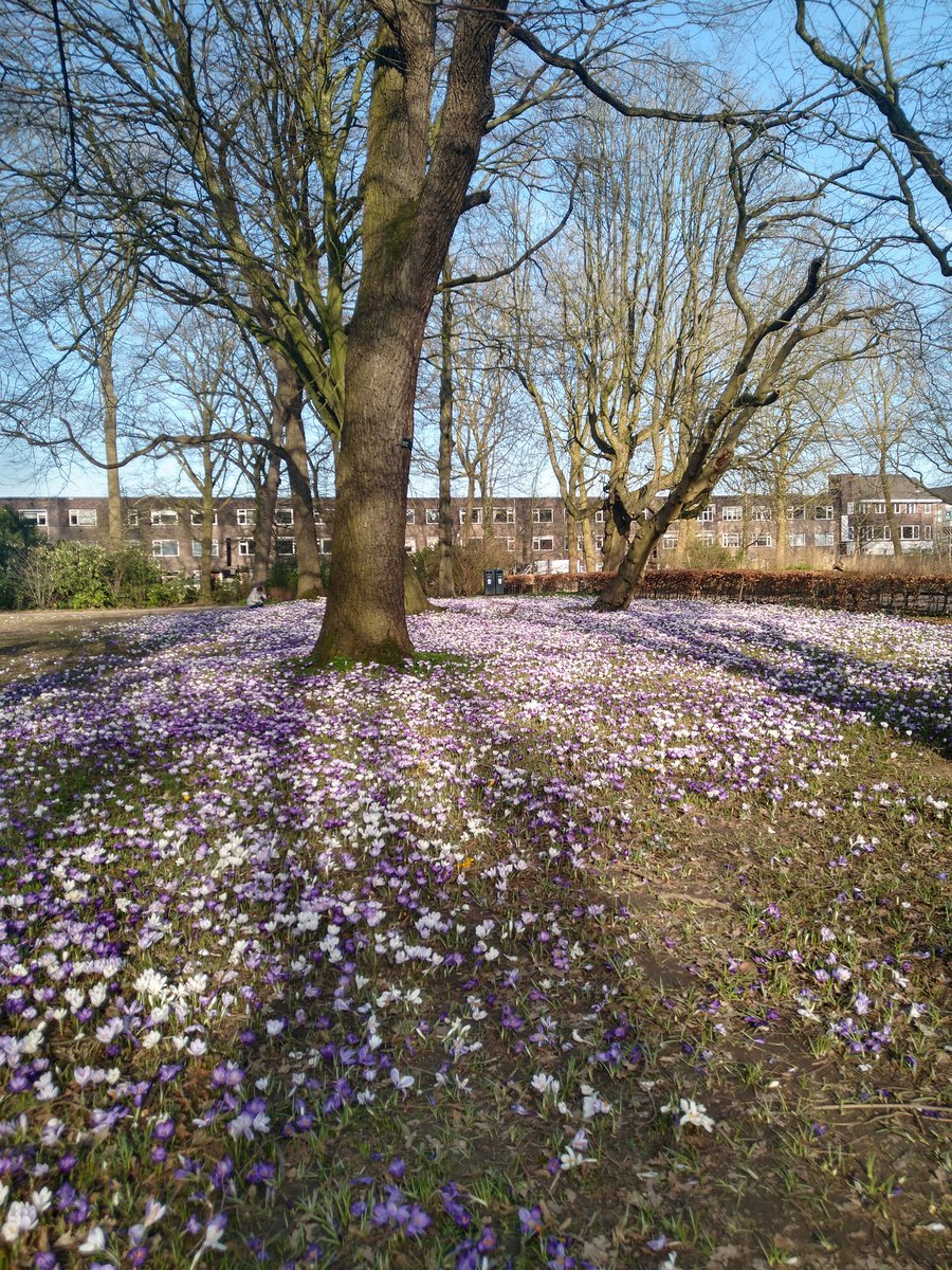 Schoonheid in het Julianapark <a href="/Utrecht/">Joost</a>