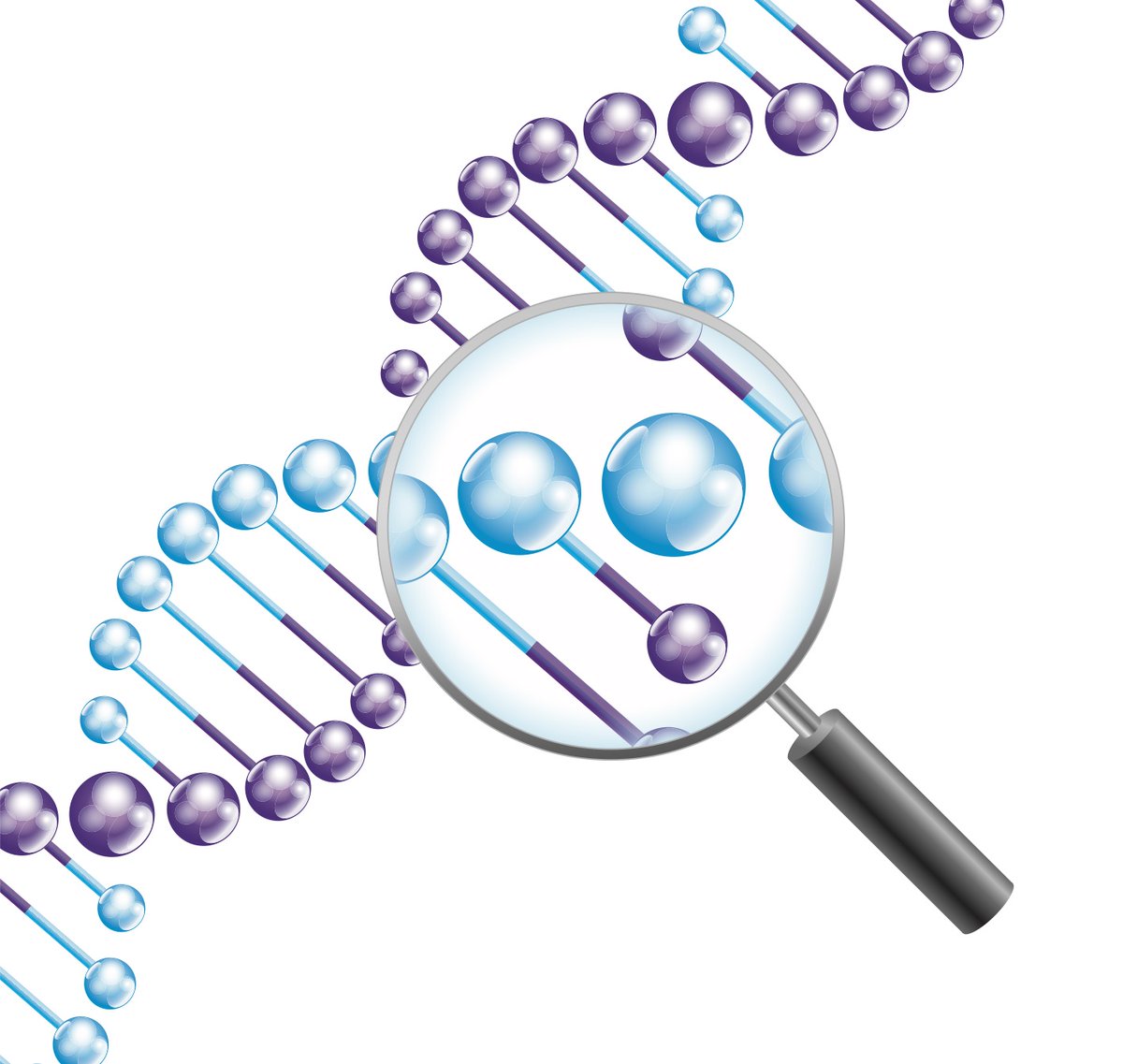 DrKarenCummings's tweet photo. 🧬 It's a long time since I've had some days on #genealogy research work. This week I have been working on the identification of an unknown grandfather. #DNAmatches, in combination with genealogy records, including the newly released #1921Census are looking very promising! 🧬 https://t.co/PwMmvFQHLZ